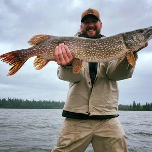 Meet your Posher, Adam